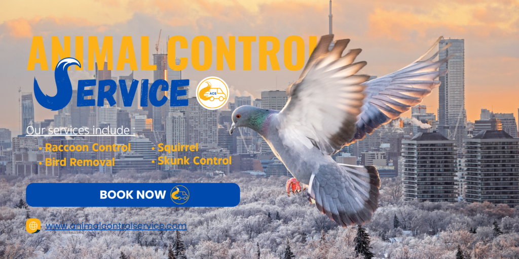 Toronto Animal Control Service